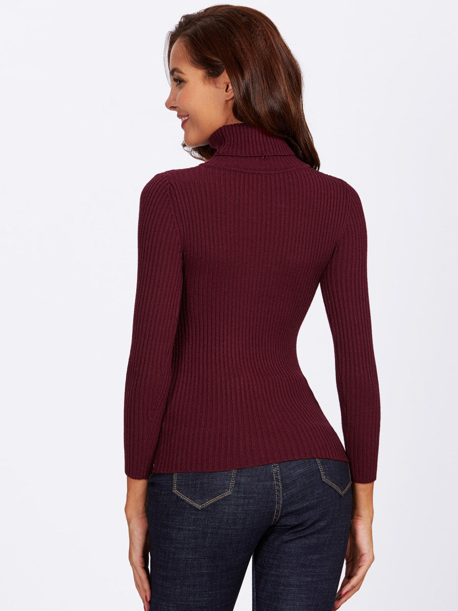 Rolled Neck Ribbed Knit Fitting Sweater